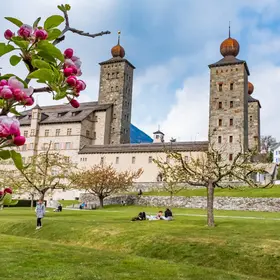 Walliserfahne im Stockalperschloss Innenhof in Brig